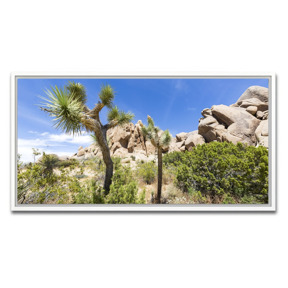 Impression from Joshua Tree National Park Wall Art