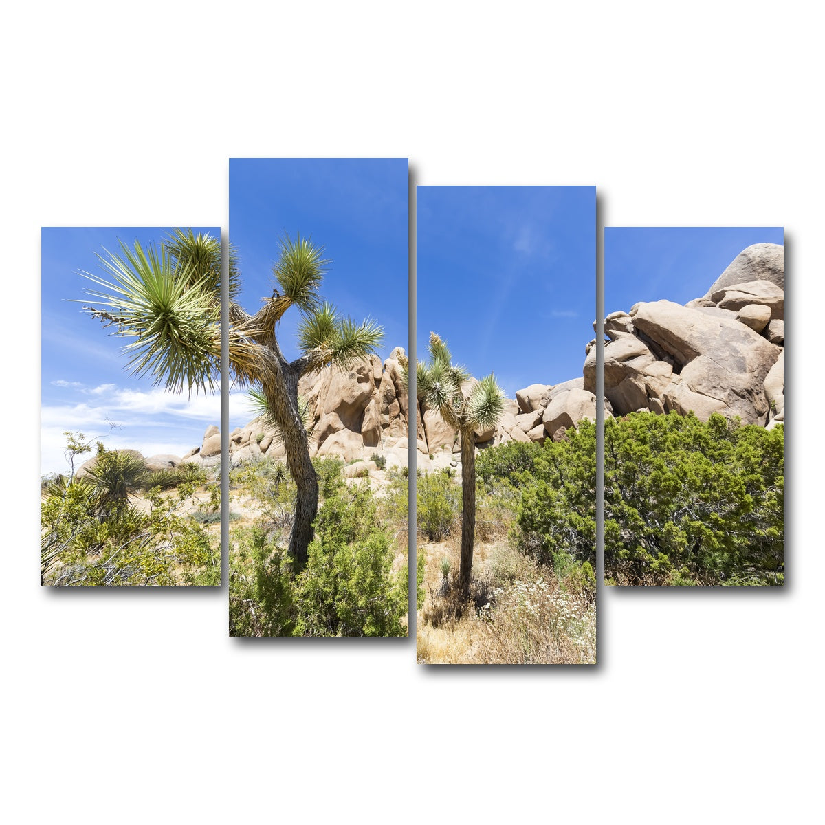 Impression from Joshua Tree National Park Wall Art