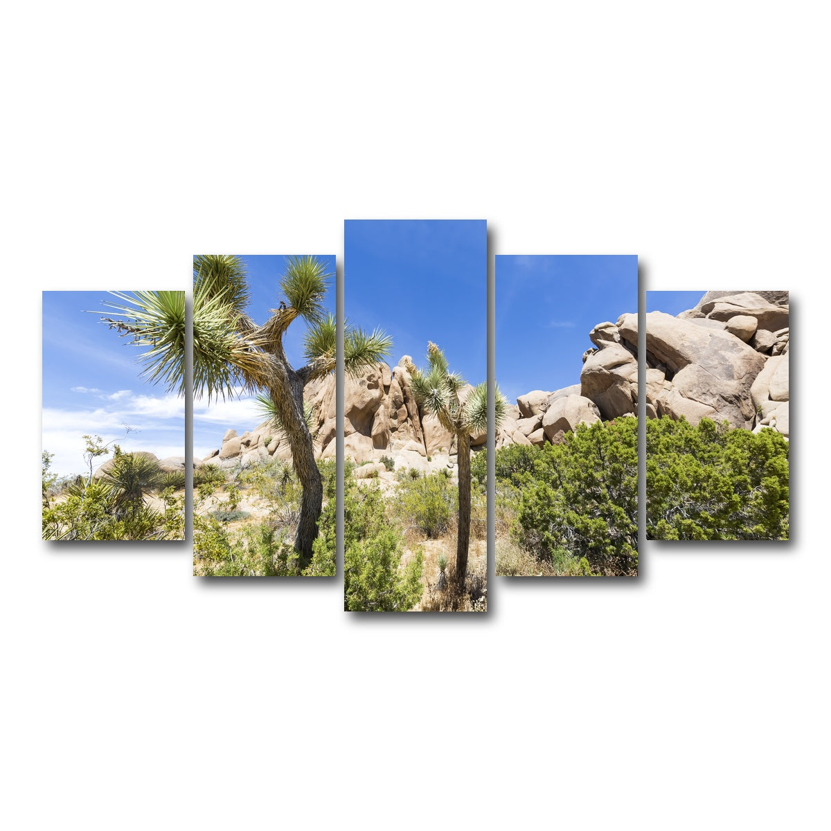 Impression from Joshua Tree National Park Wall Art