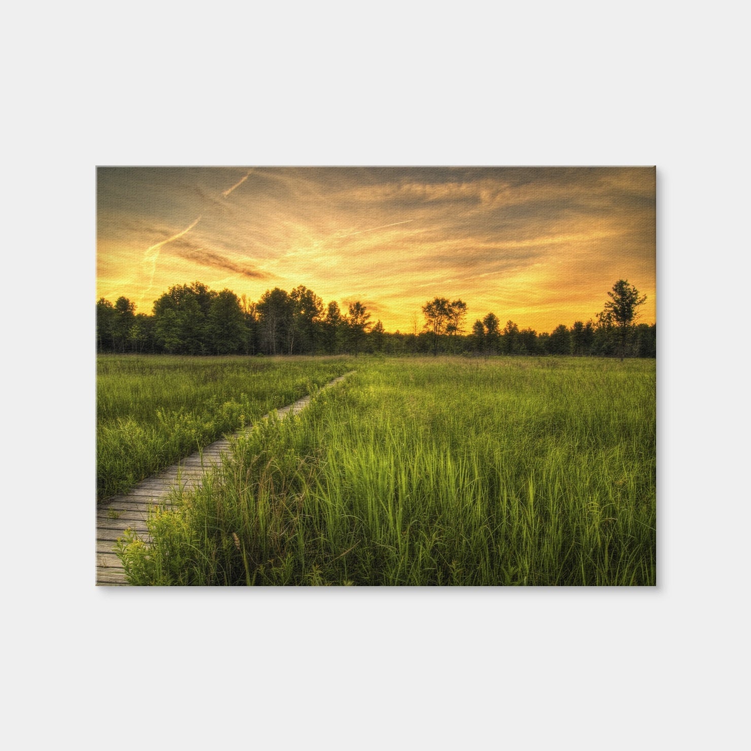 AUTO-MOCKUP WHITE | Irwin Prairie in Toledo | 1 Piece | Gallery Wrap Canvas | group=4x3
