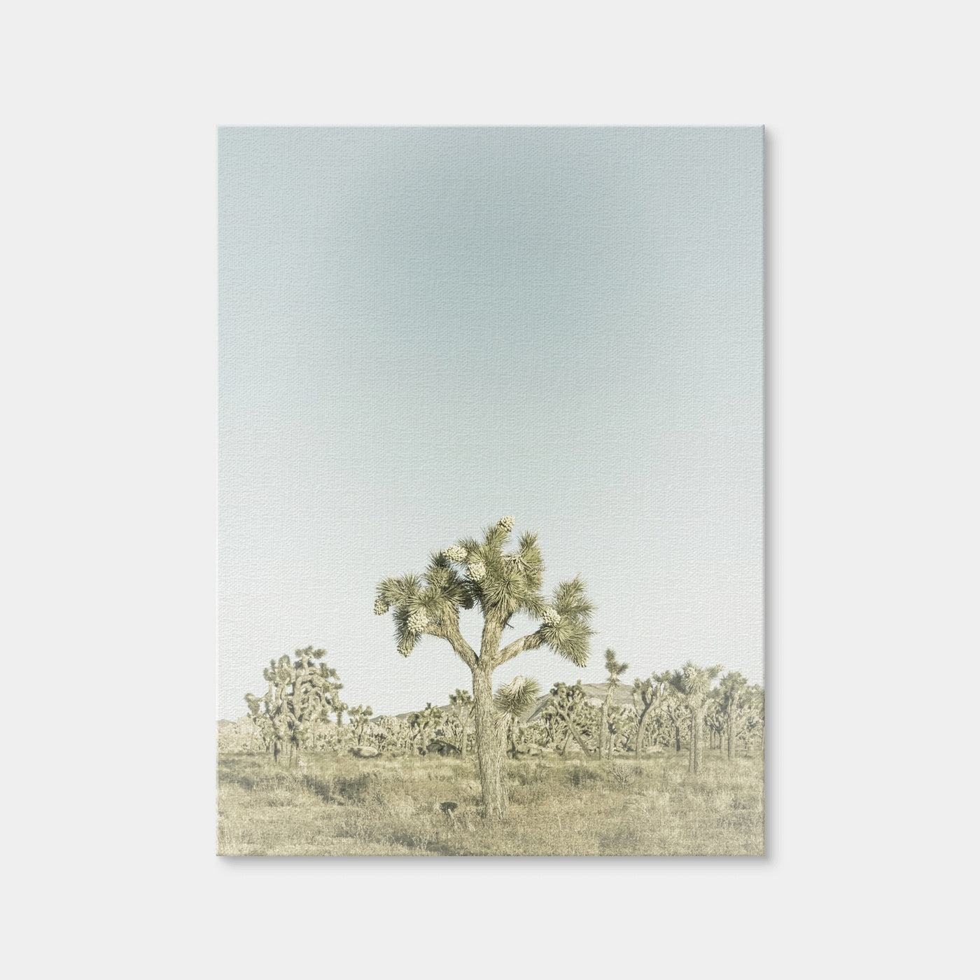 AUTO-MOCKUP WHITE | Joshua Tree National Park Sepia | 1 Piece | Gallery Wrap Canvas | group=3x4