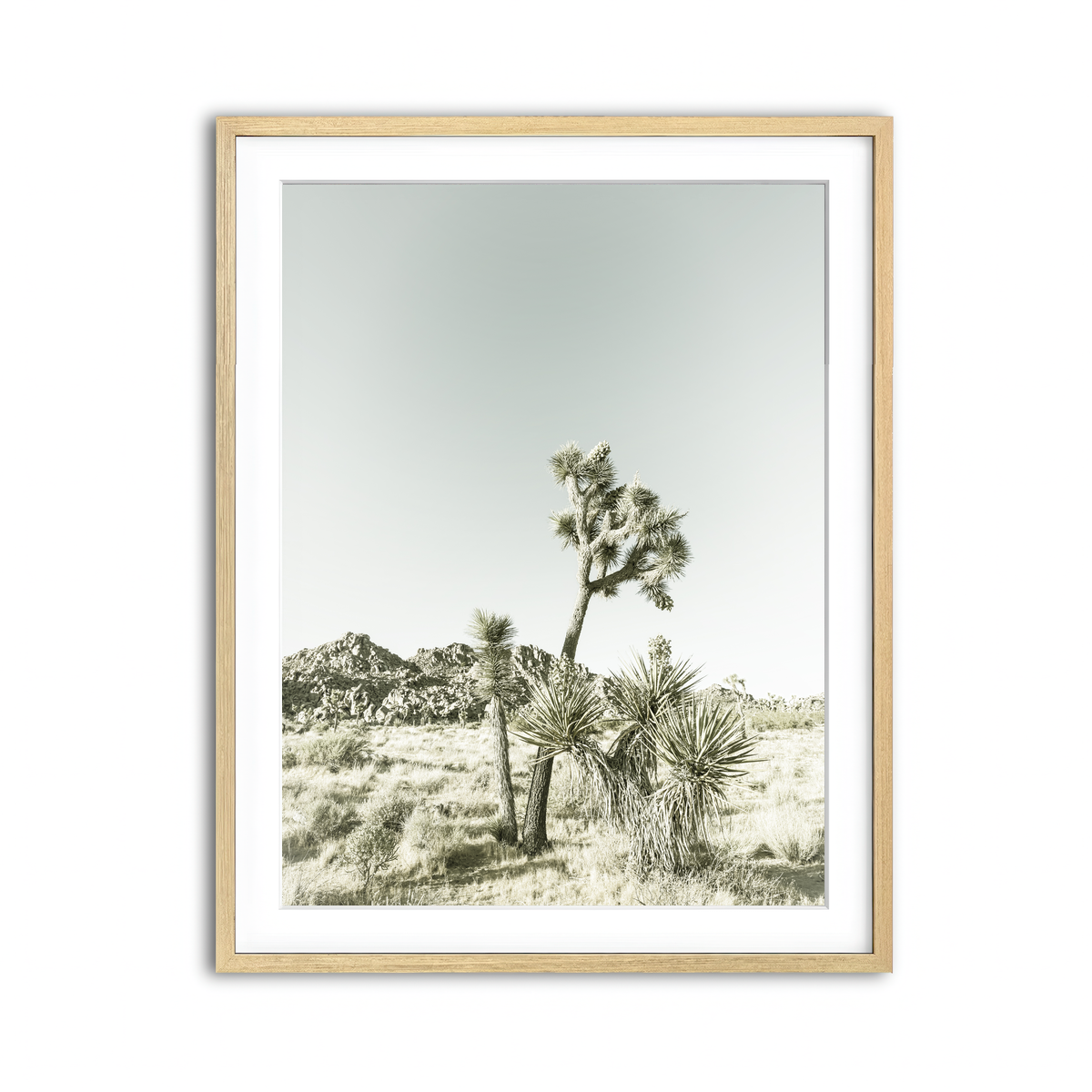 Joshua Tree National Park Vintage Wall Art