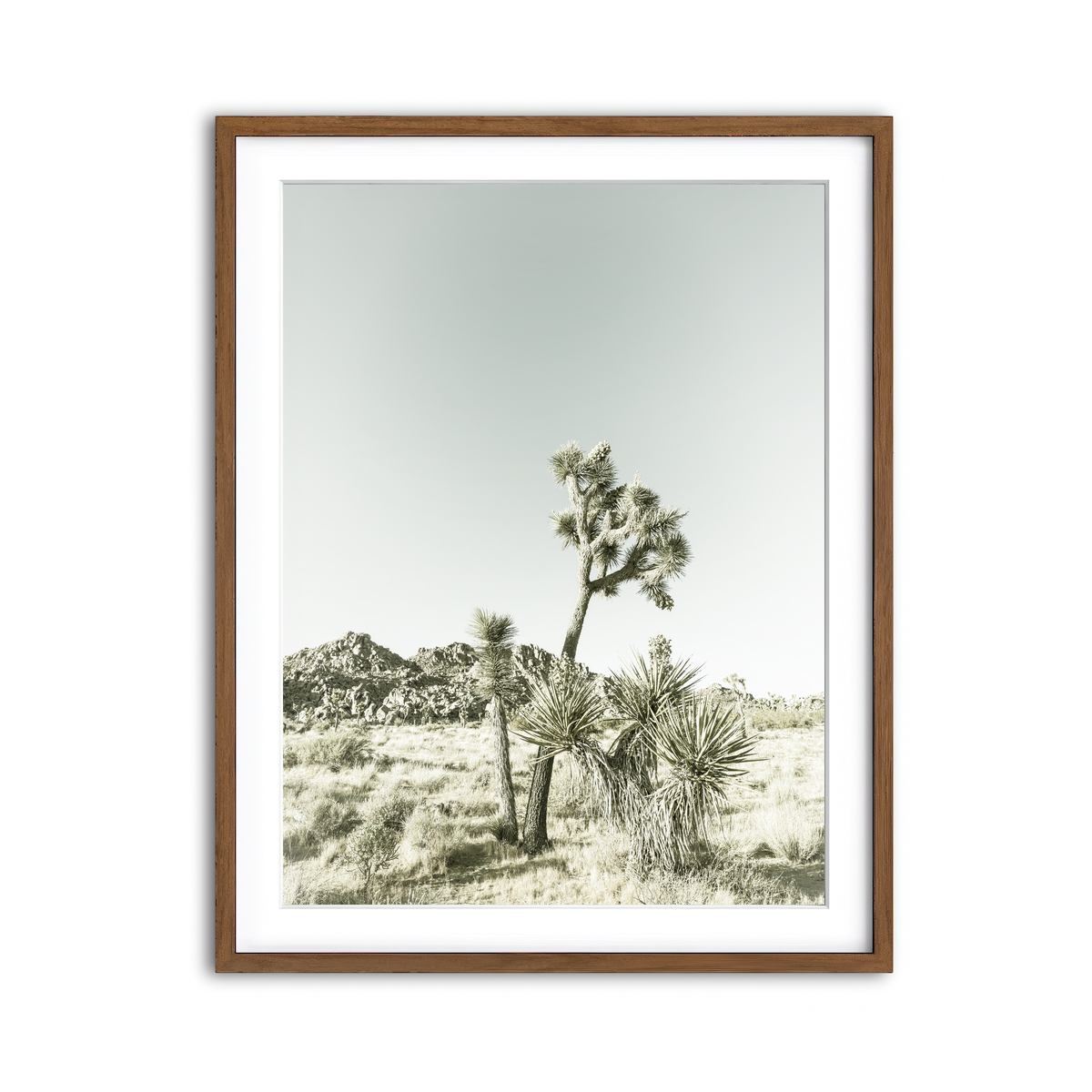 Joshua Tree National Park Vintage Wall Art