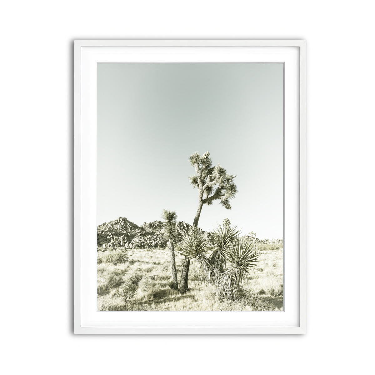 Joshua Tree National Park Vintage Wall Art