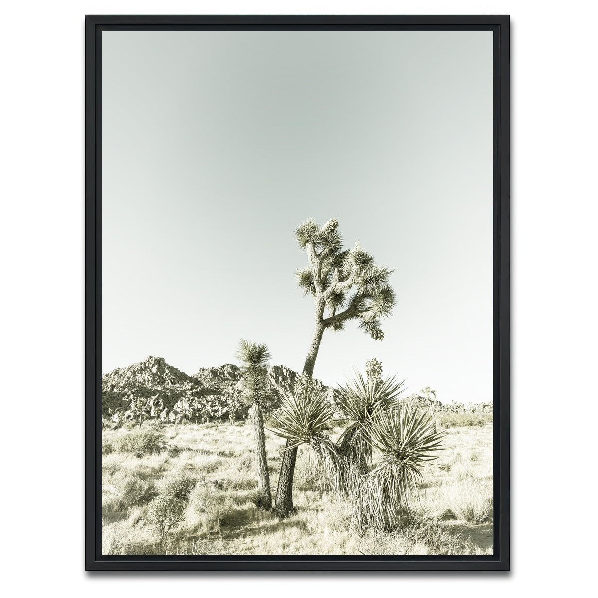 Joshua Tree National Park Vintage Wall Art