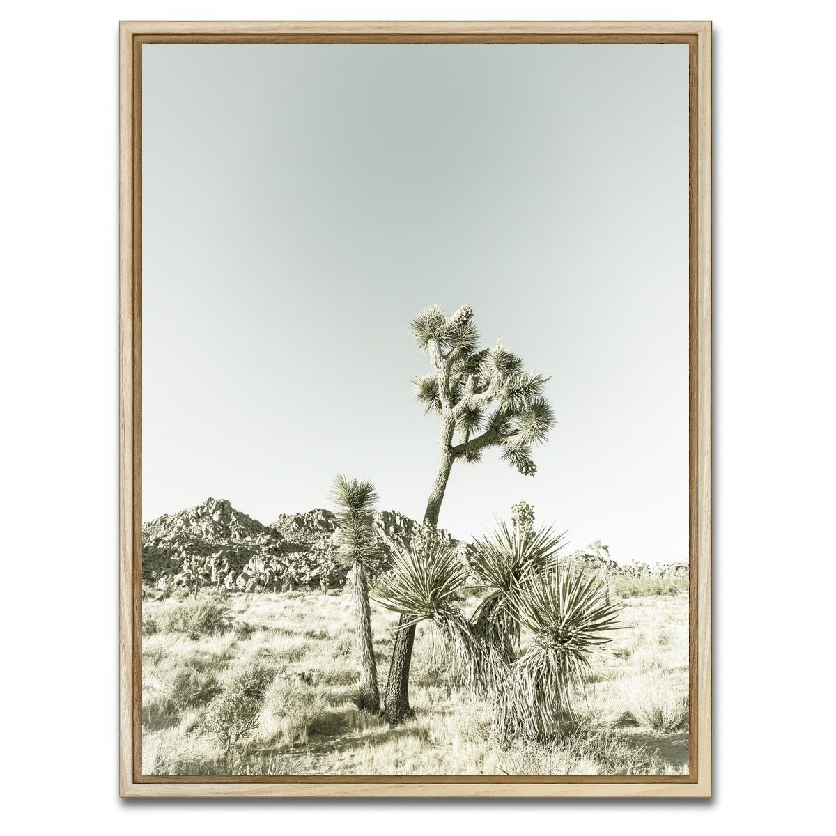 Joshua Tree National Park Vintage Wall Art