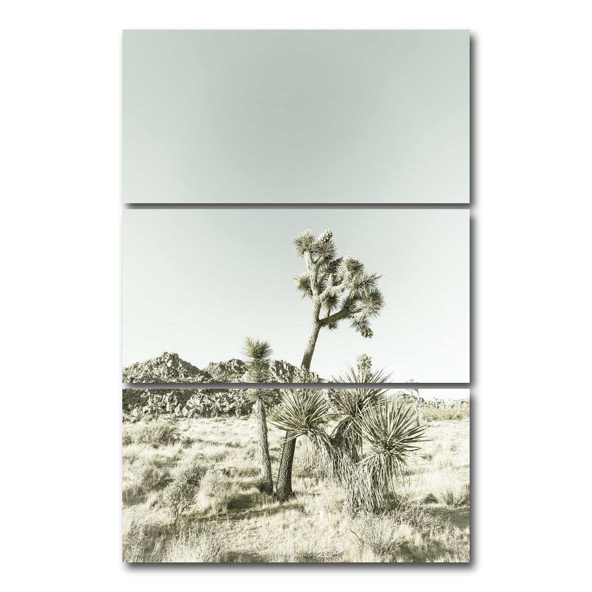 Joshua Tree National Park Vintage Wall Art