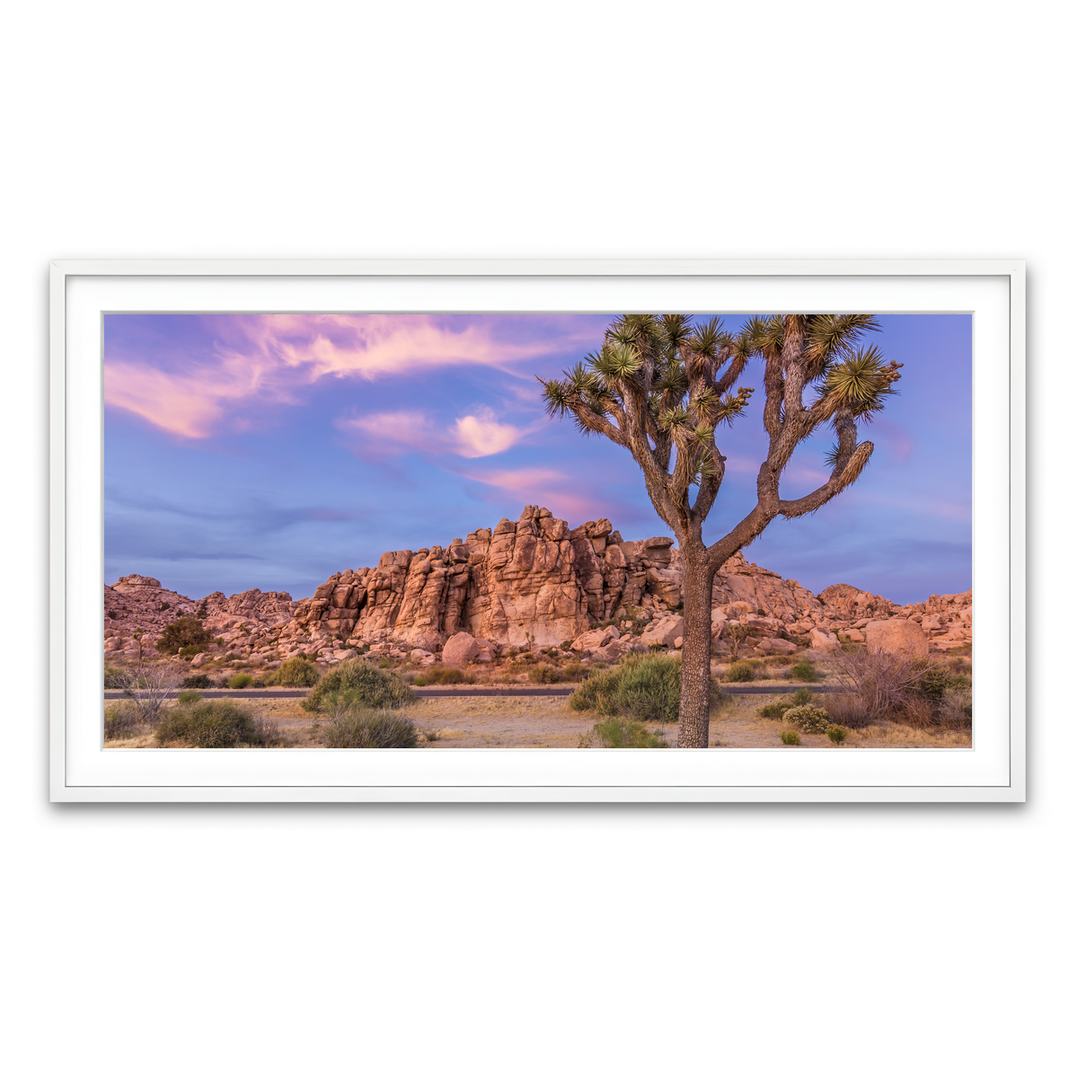 Joshua Tree in the Evening Wall Art