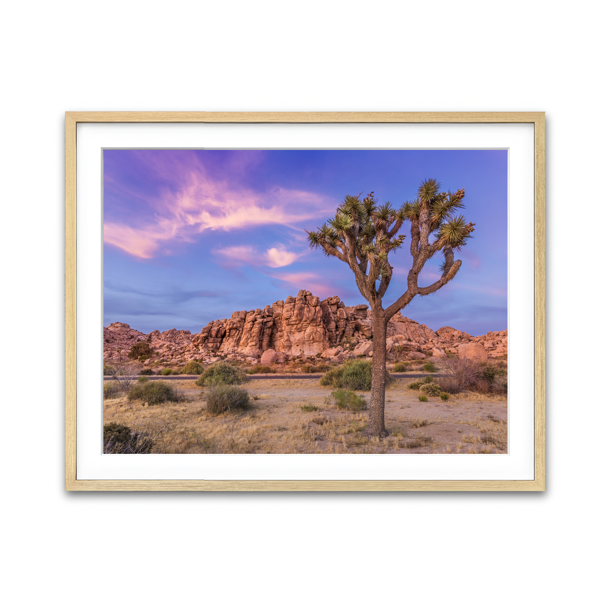Joshua Tree in the Evening Wall Art