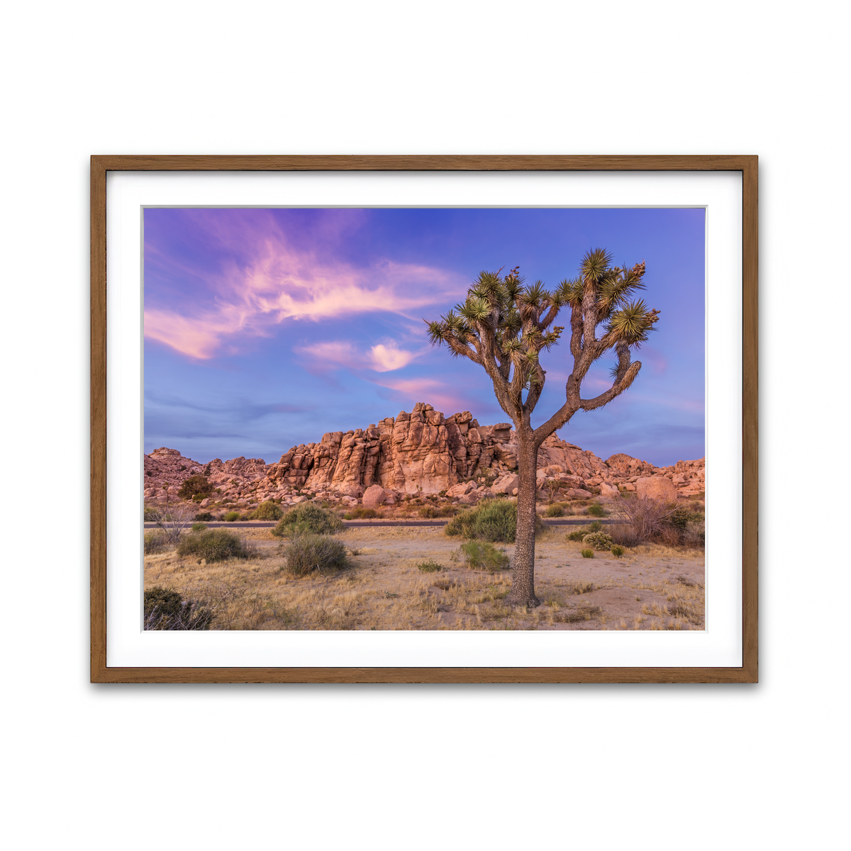 Joshua Tree in the Evening Wall Art