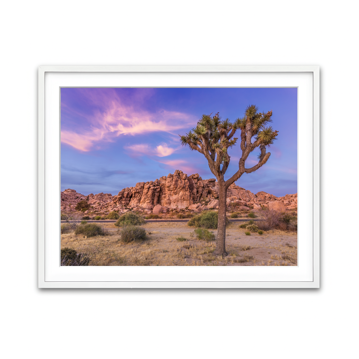 Joshua Tree in the Evening Wall Art
