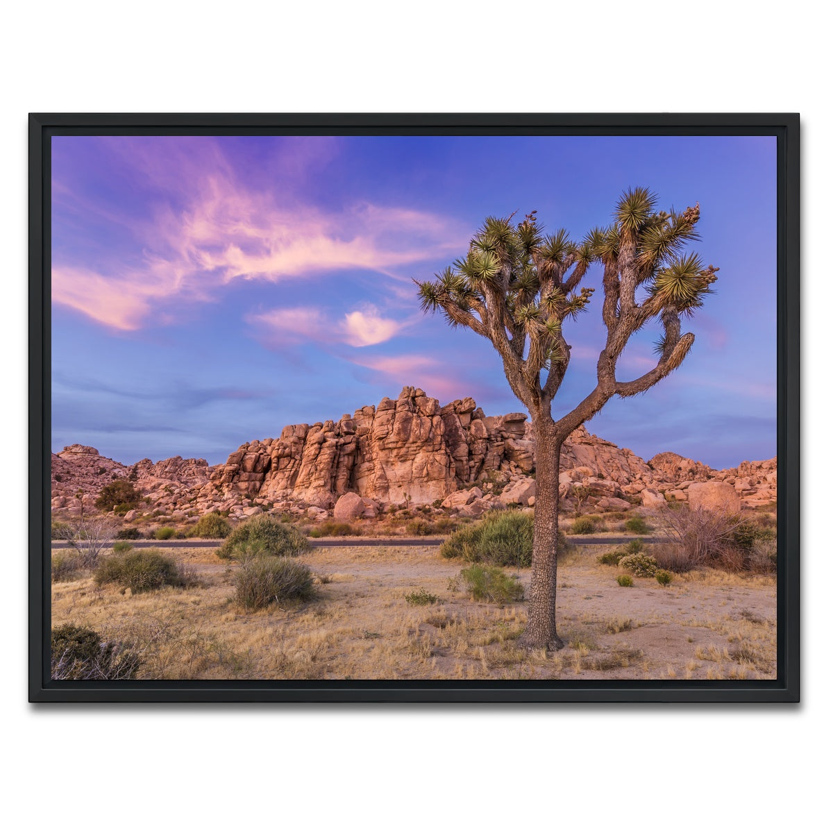 Joshua Tree in the Evening Wall Art