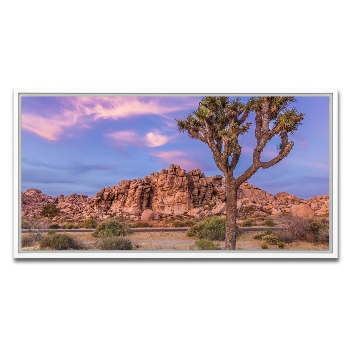 Joshua Tree in the Evening Wall Art