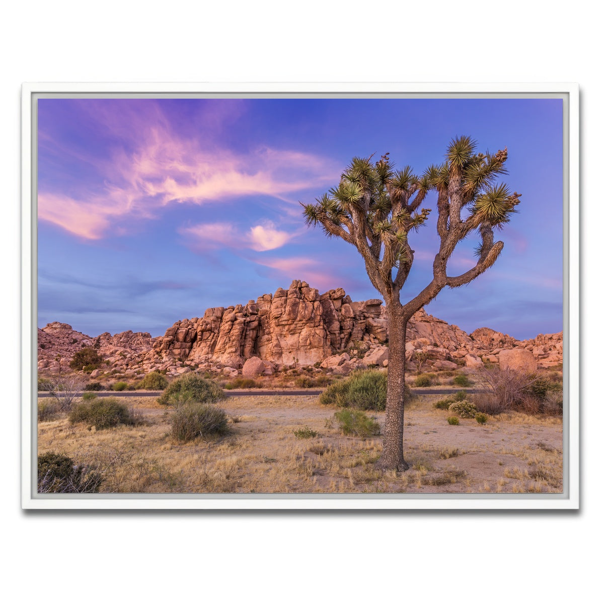 Joshua Tree in the Evening Wall Art