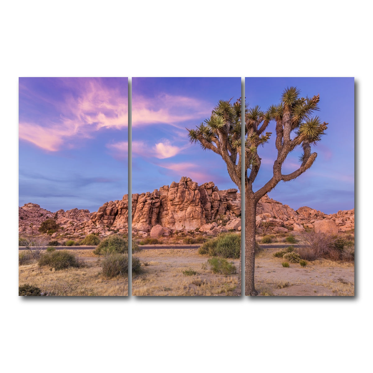Joshua Tree in the Evening Wall Art