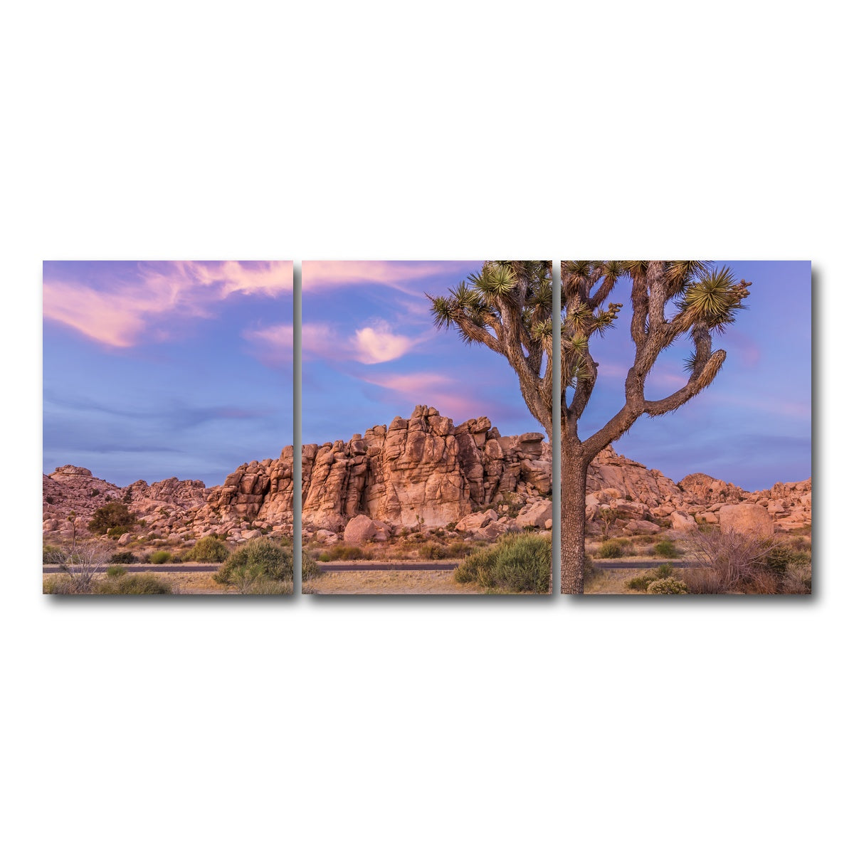 Joshua Tree in the Evening Wall Art