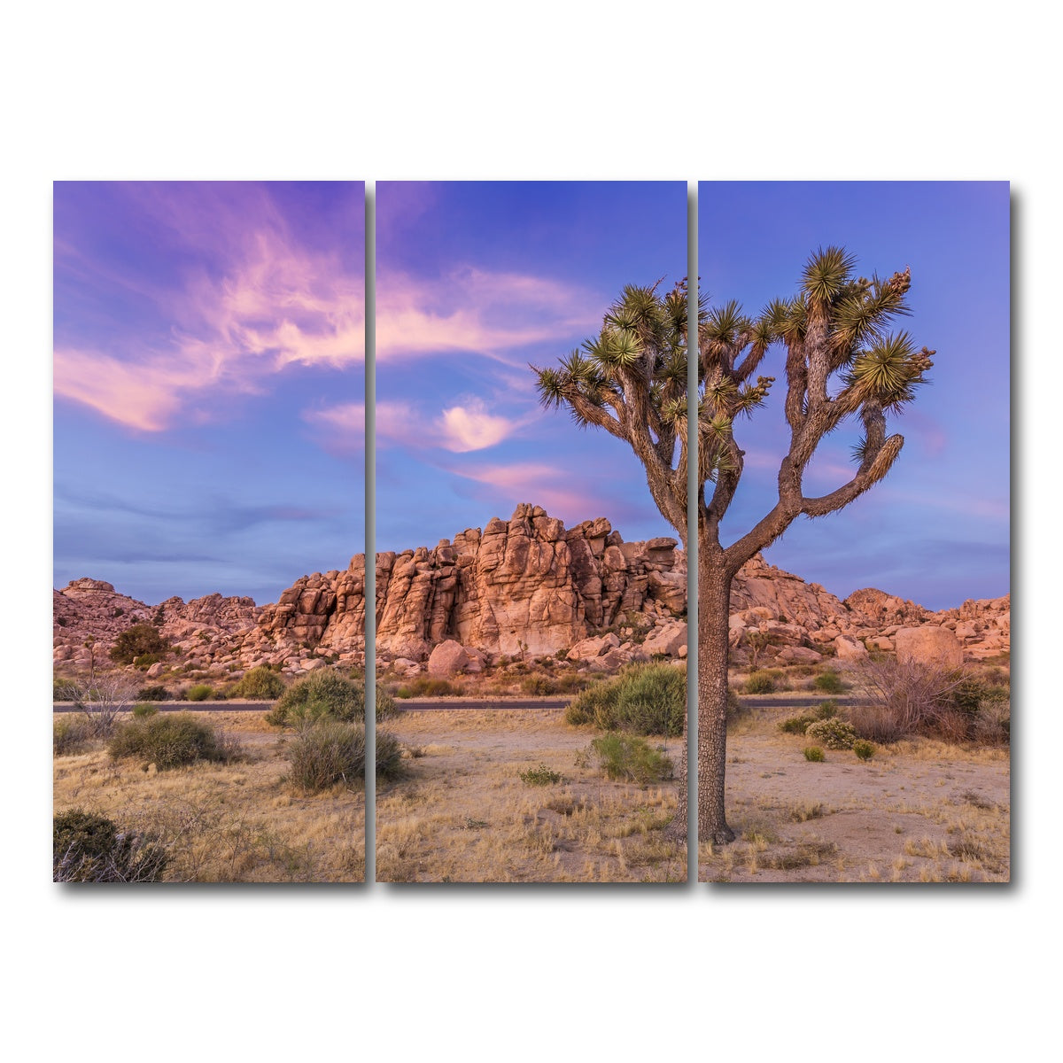 Joshua Tree in the Evening Wall Art