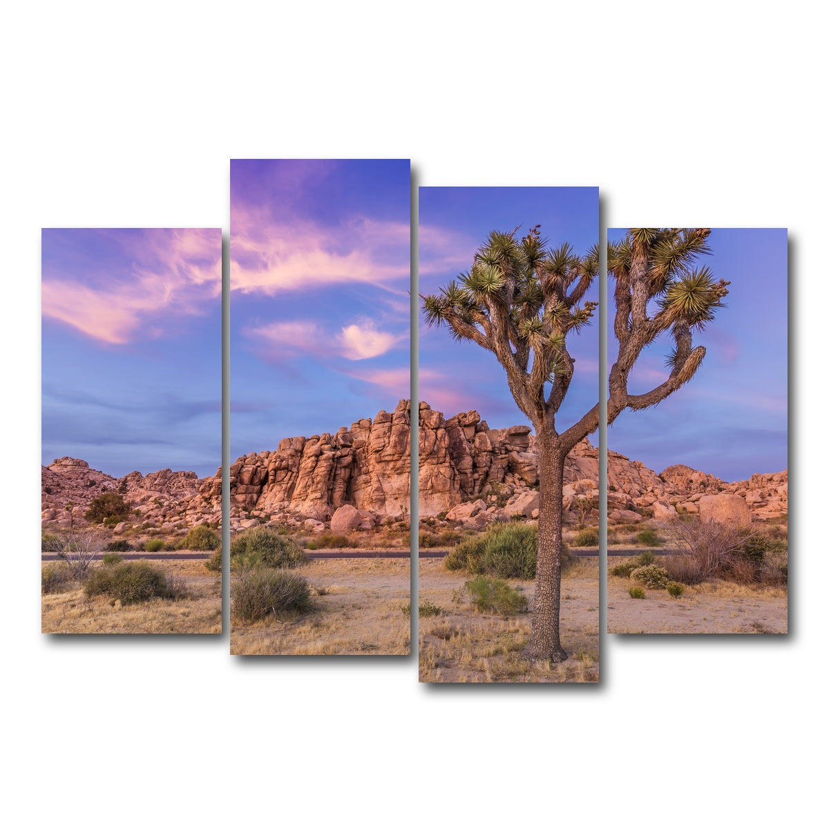 Joshua Tree in the Evening Wall Art