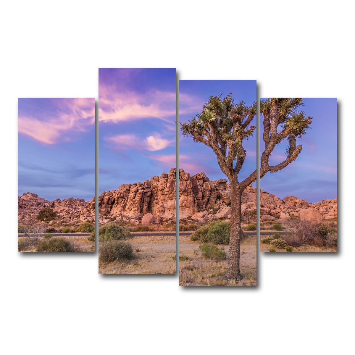 Joshua Tree in the Evening Wall Art