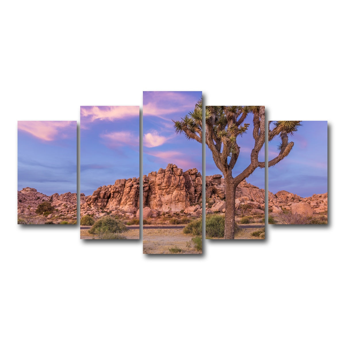 Joshua Tree in the Evening Wall Art