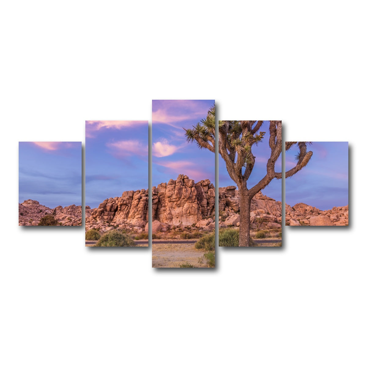 Joshua Tree in the Evening Wall Art