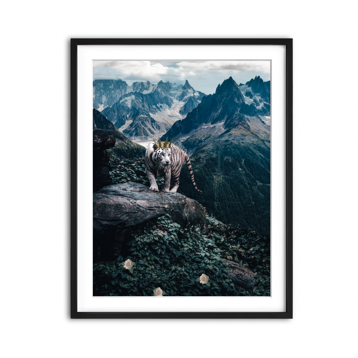 Framed Print 3x4 Black