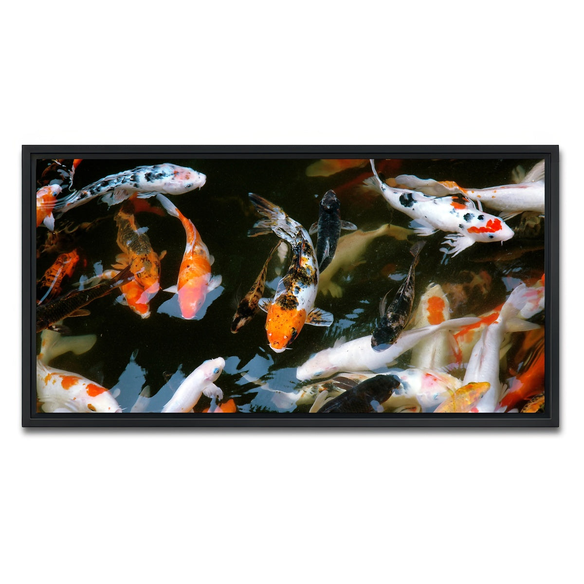 AUTO-MOCKUP WHITE | Koi Fish Swimming | 1 Piece | Black Framed Canvas | group=2x1
