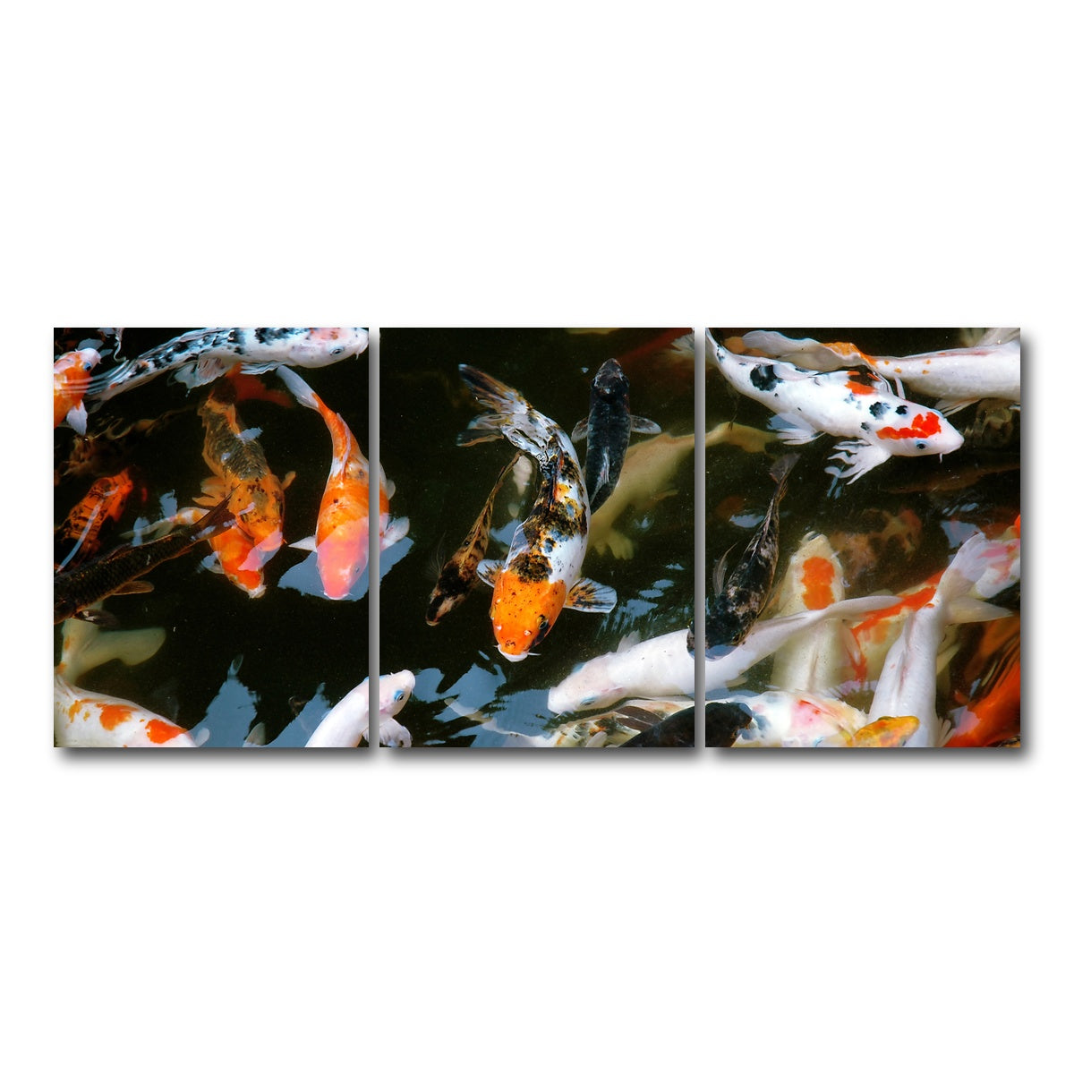 AUTO-MOCKUP WHITE | Koi Fish Swimming | 3 Piece | Gallery Wrap Canvas | group=18x24
