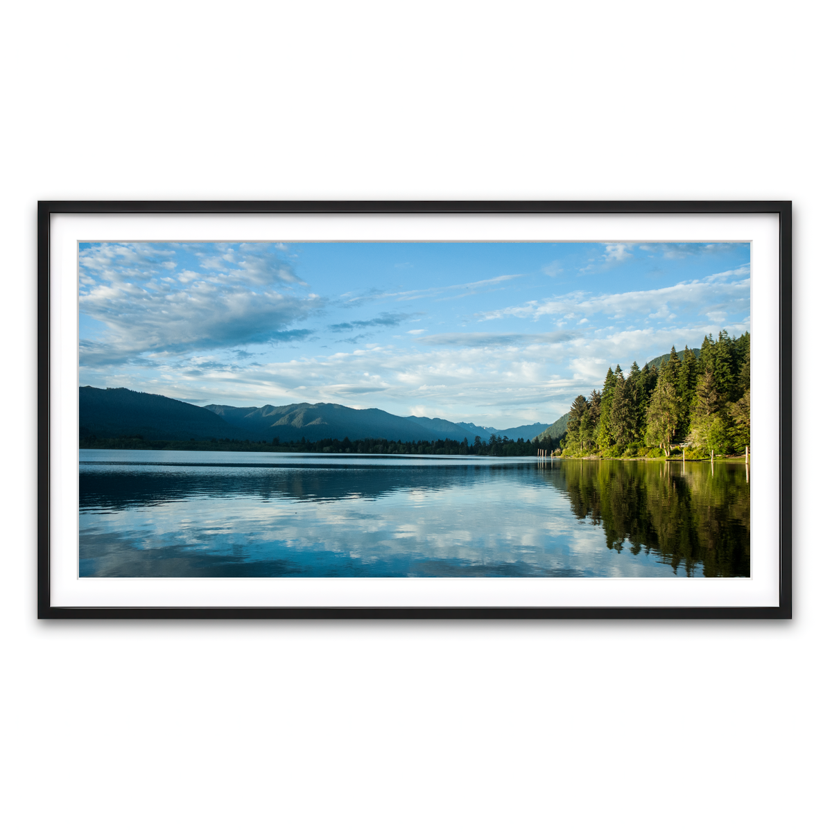 Framed Print 2x1 Black