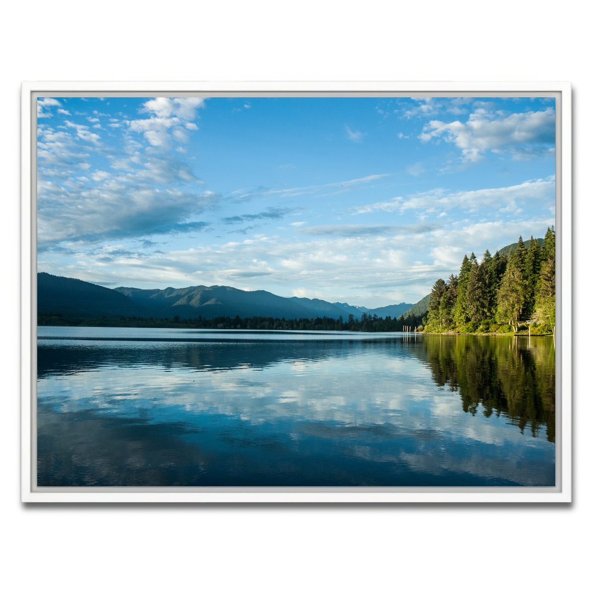 AUTO-MOCKUP WHITE | Lake Quinault | 1 Piece | White Framed Canvas | group=4x3