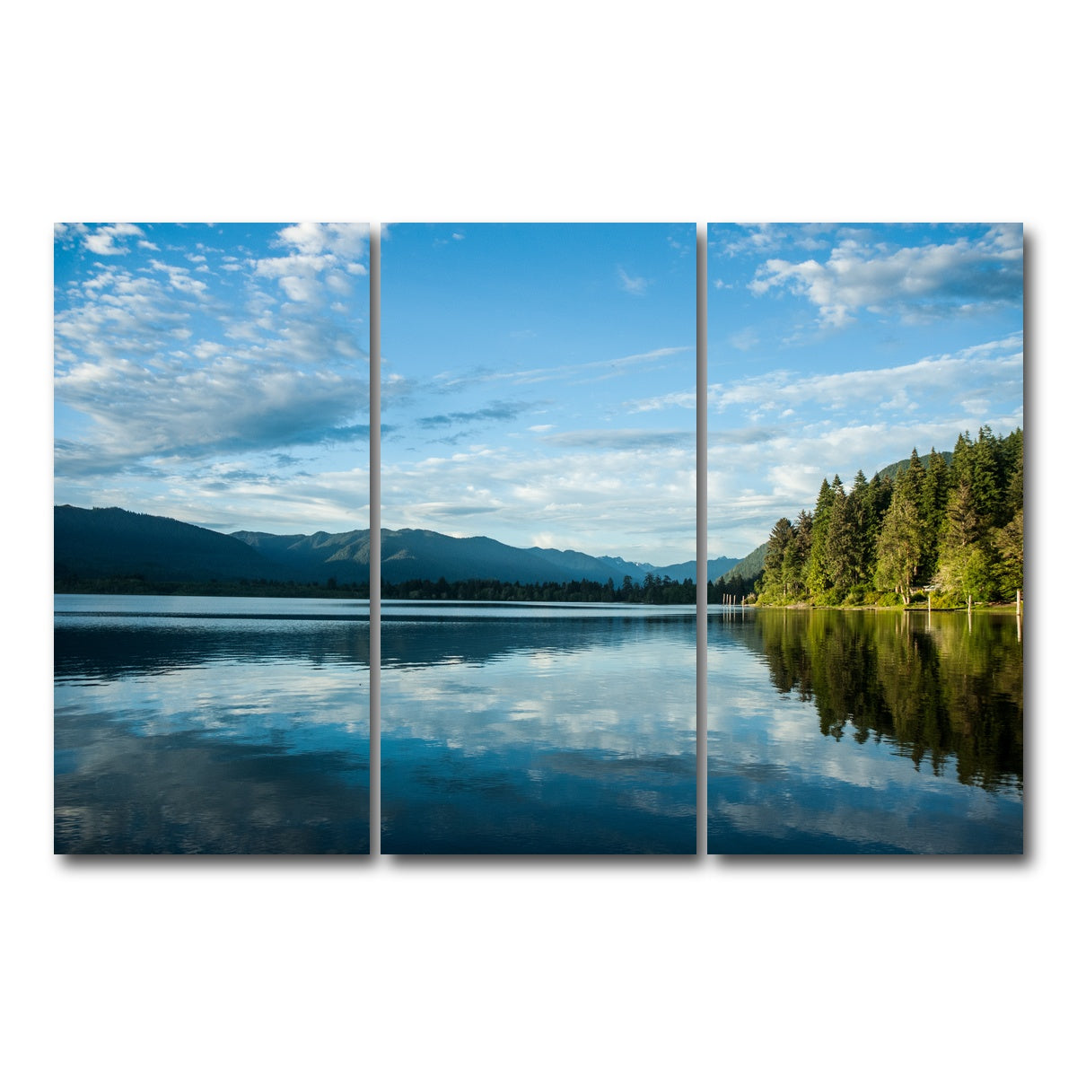 AUTO-MOCKUP WHITE | Lake Quinault | 3 Piece | Gallery Wrap Canvas | group=12x24