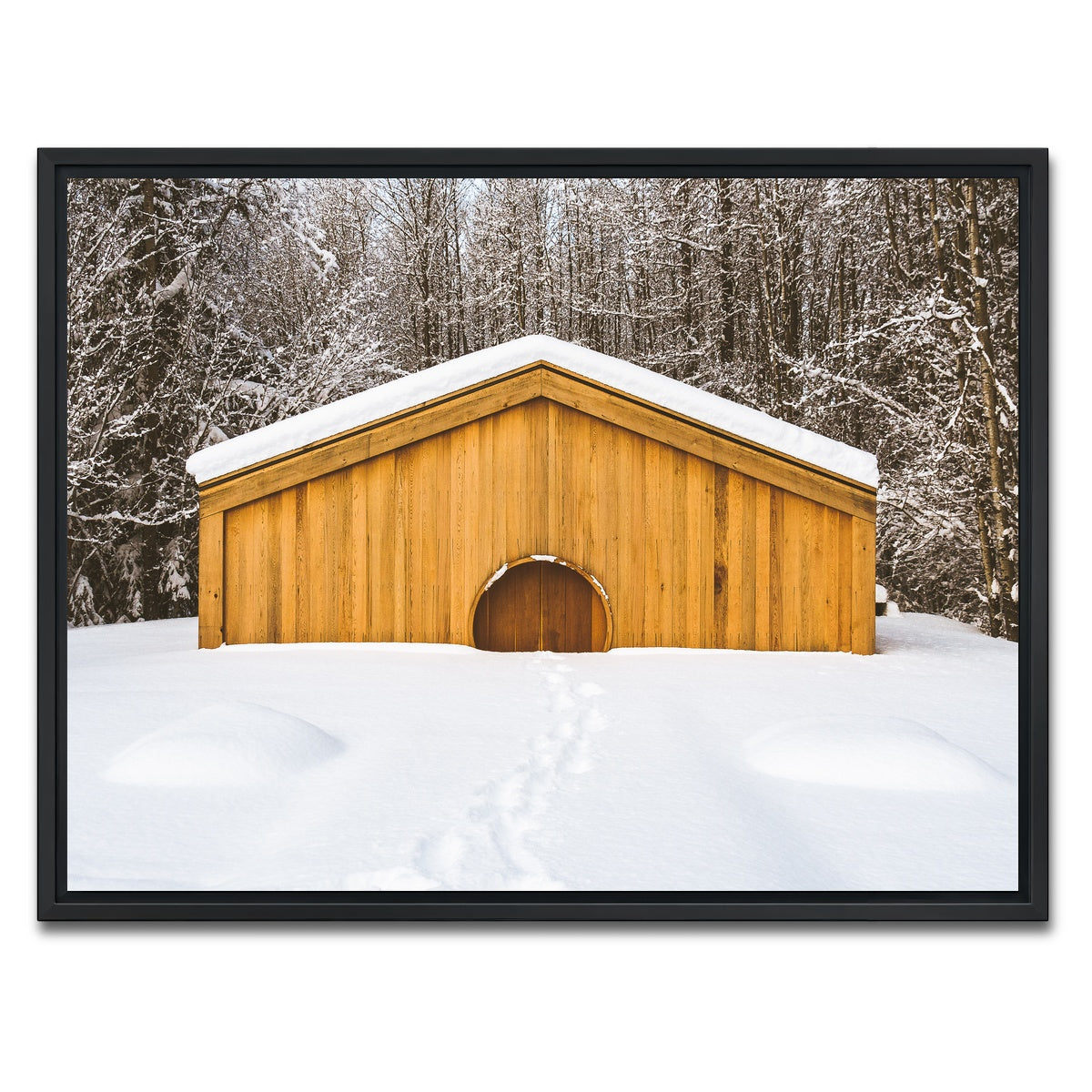 AUTO-MOCKUP WHITE | Lava Bed Provincial Park | 1 Piece | Black Framed Canvas | group=4x3