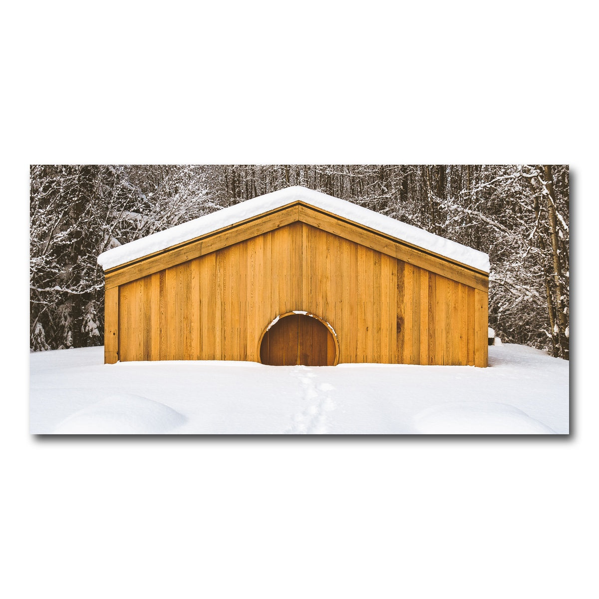 AUTO-MOCKUP WHITE | Lava Bed Provincial Park | 1 Piece | Gallery Wrap Canvas | group=2x1