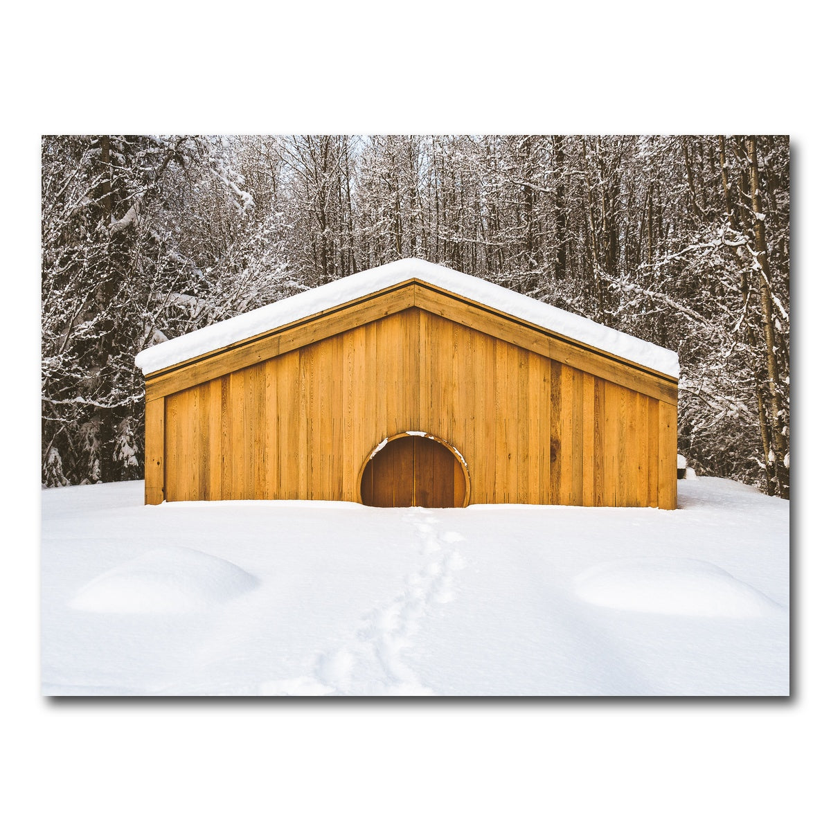 AUTO-MOCKUP WHITE | Lava Bed Provincial Park | 1 Piece | Gallery Wrap Canvas | group=4x3
