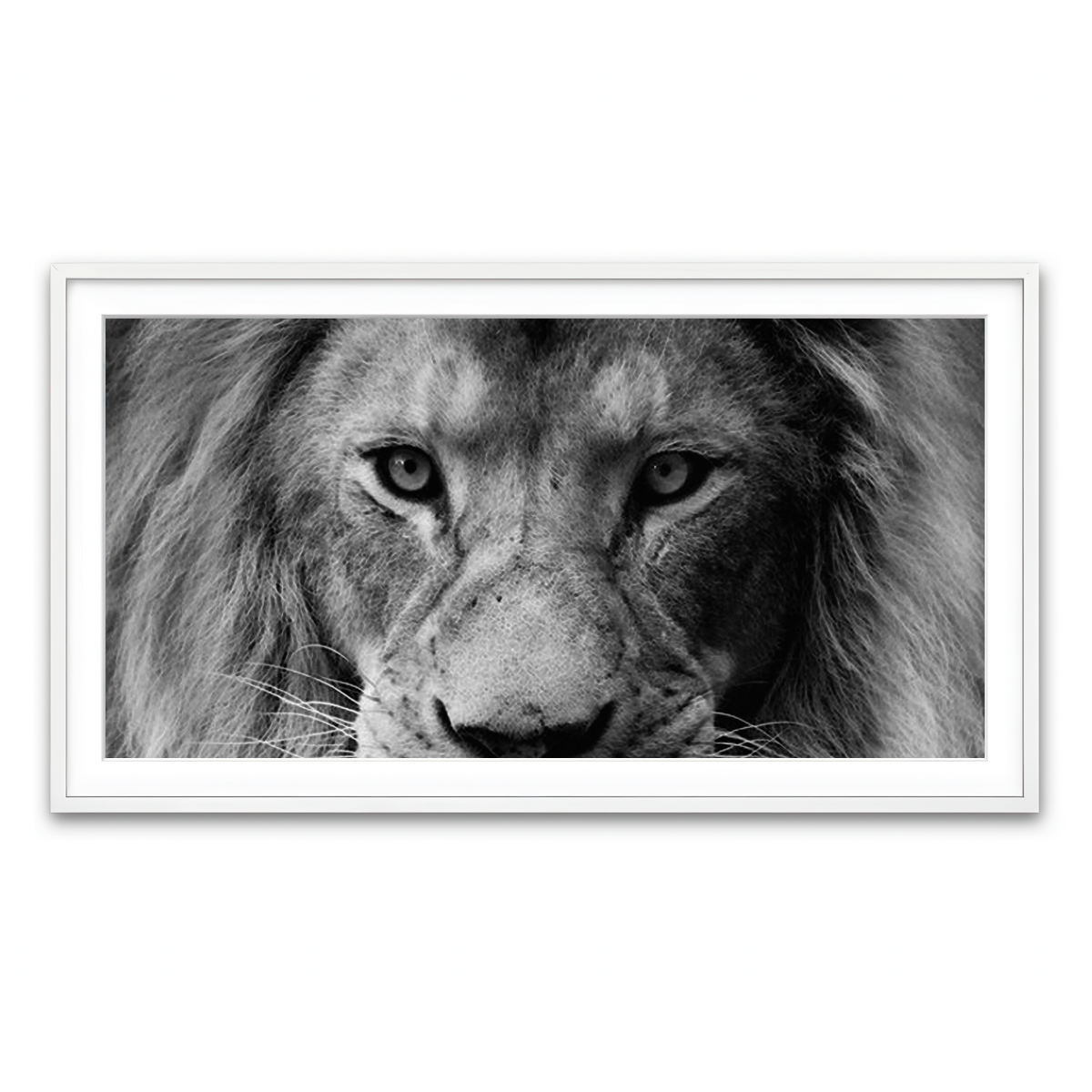 Framed Print 2x1 White