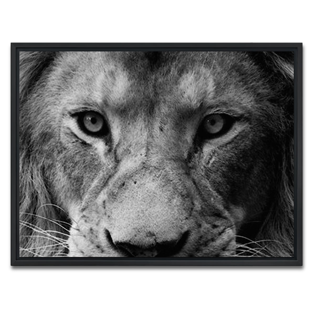 AUTO-MOCKUP WHITE | Lion | 1 Piece | Black Framed Canvas | group=4x3