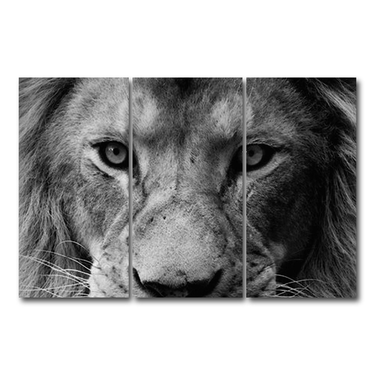 AUTO-MOCKUP WHITE | Lion | 3 Piece | Gallery Wrap Canvas | group=12x24
