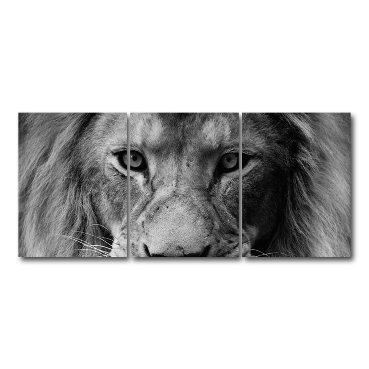 AUTO-MOCKUP WHITE | Lion | 3 Piece | Gallery Wrap Canvas | group=18x24