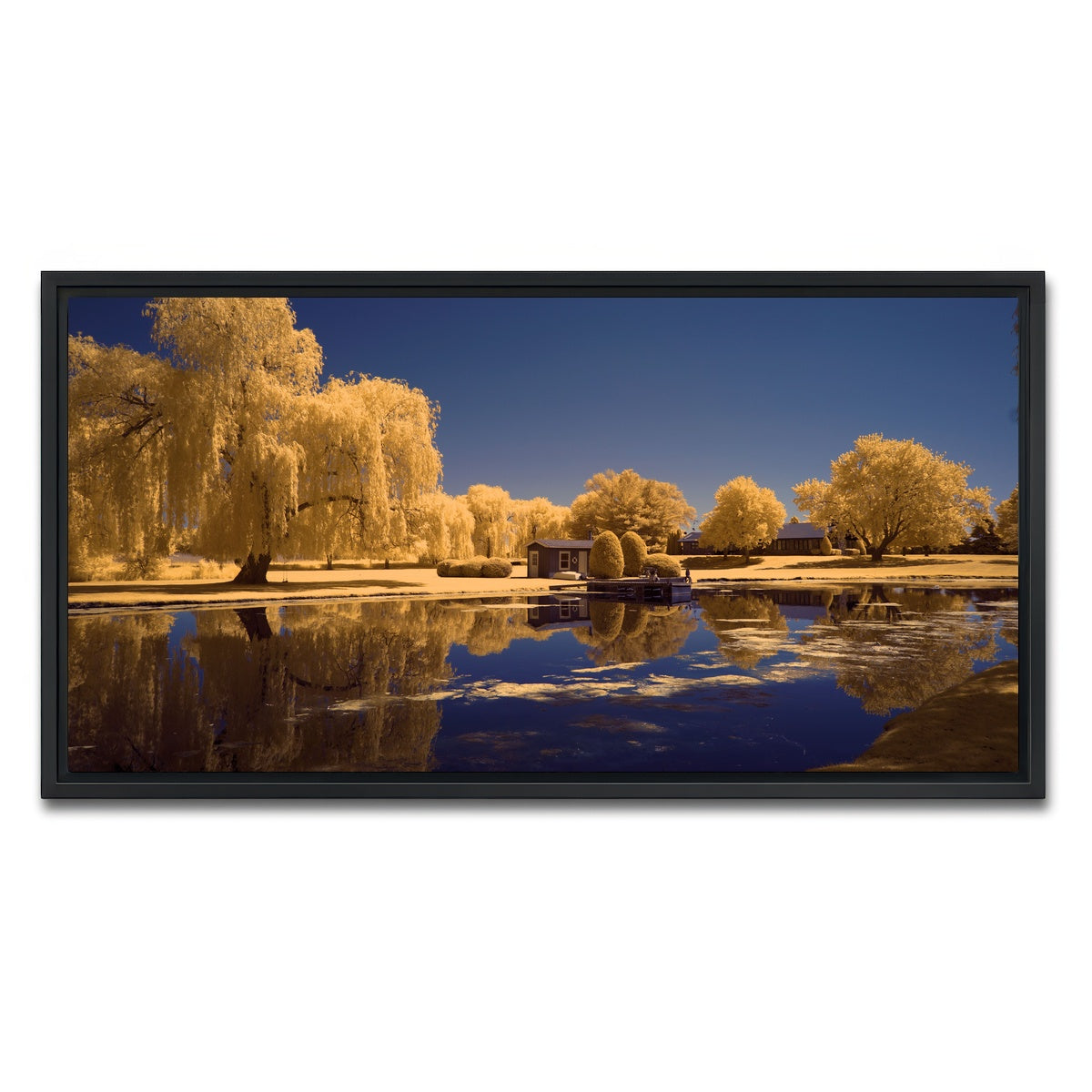AUTO-MOCKUP WHITE | Lippold Park | 1 Piece | Black Framed Canvas | group=2x1