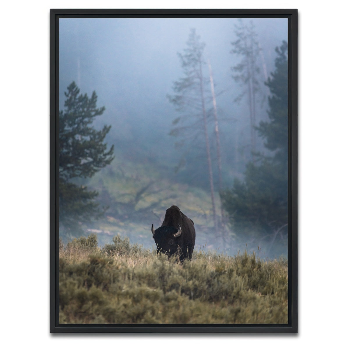 AUTO-MOCKUP WHITE | Lone Buffalo | 1 Piece | Black Framed Canvas | group=3x4