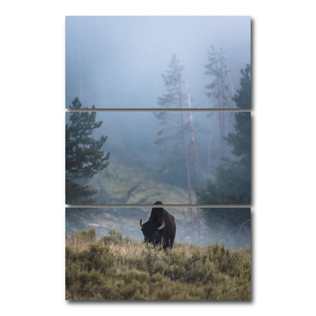 AUTO-MOCKUP WHITE | Lone Buffalo | 3 Piece | Gallery Wrap Canvas | group=12x24_stacked