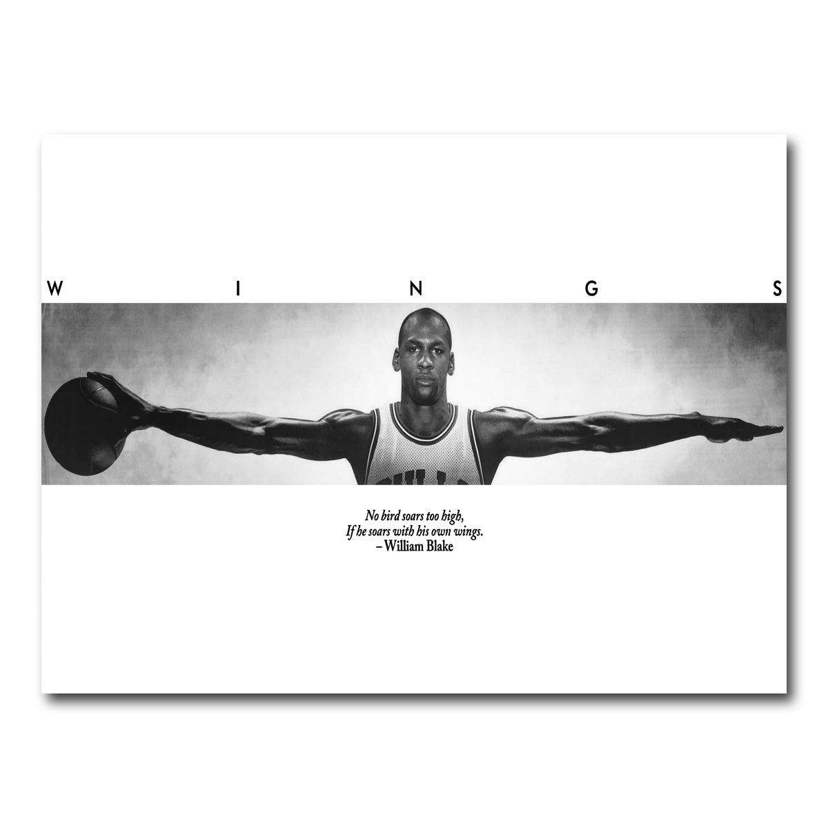 MJ Wings Wall Art