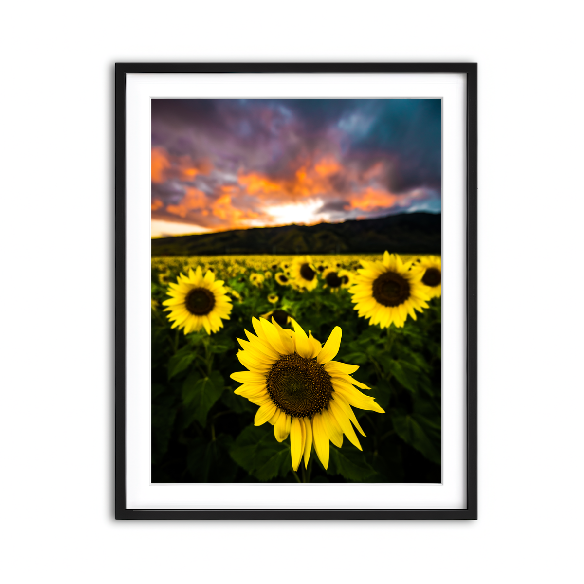 Framed Print 3x4 Black