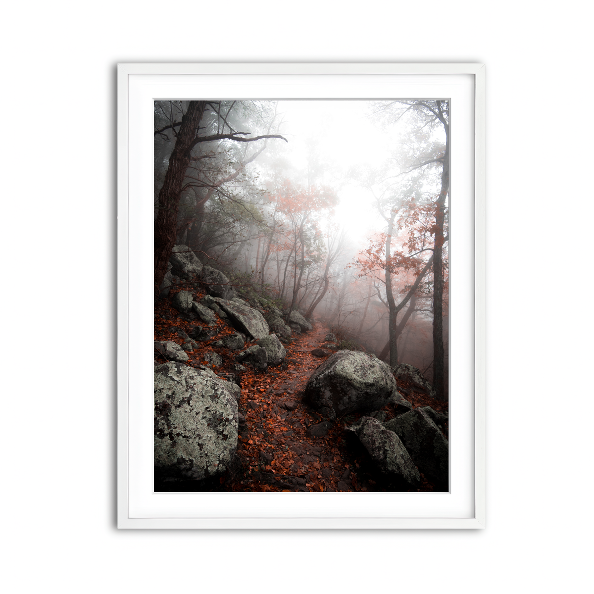 Framed Print 3x4 White