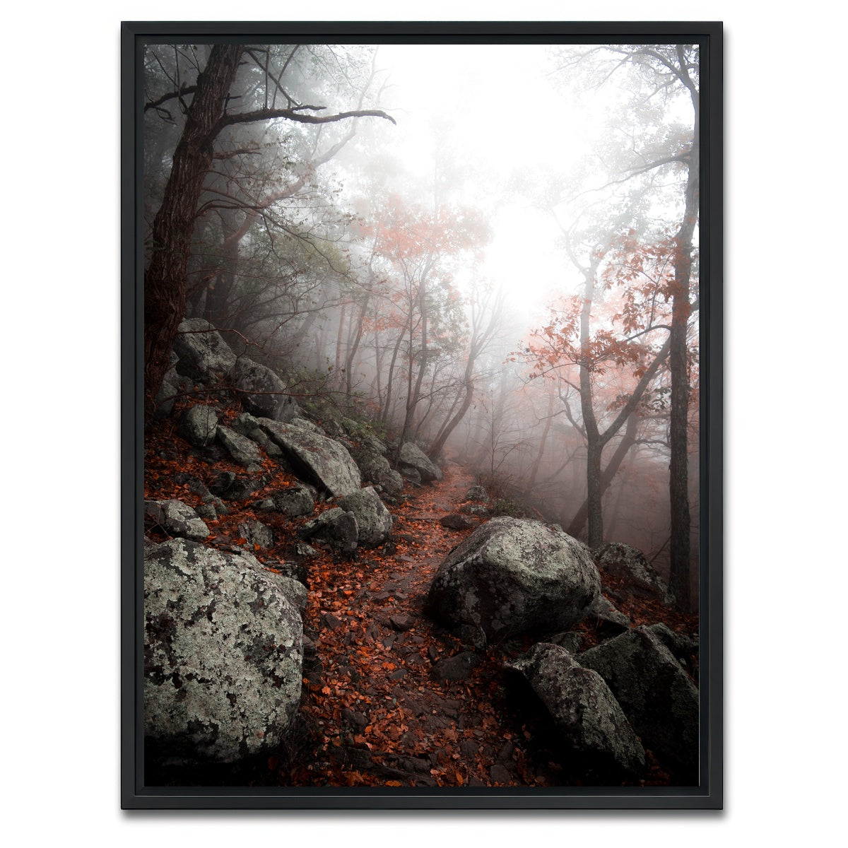 AUTO-MOCKUP WHITE | Moody Forest | 1 Piece | Black Framed Canvas | group=3x4