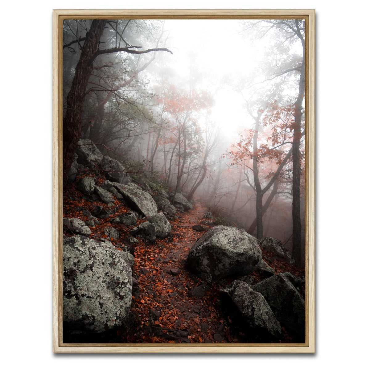 AUTO-MOCKUP WHITE | Moody Forest | 1 Piece | Natural Framed Canvas | group=3x4