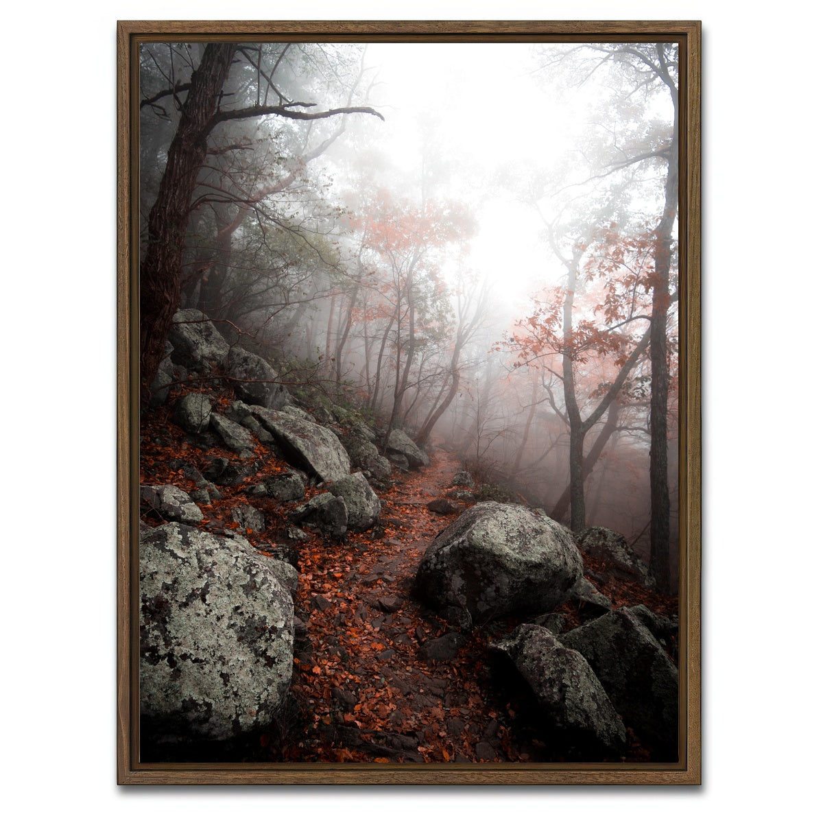 AUTO-MOCKUP WHITE | Moody Forest | 1 Piece | Walnut Framed Canvas | group=3x4