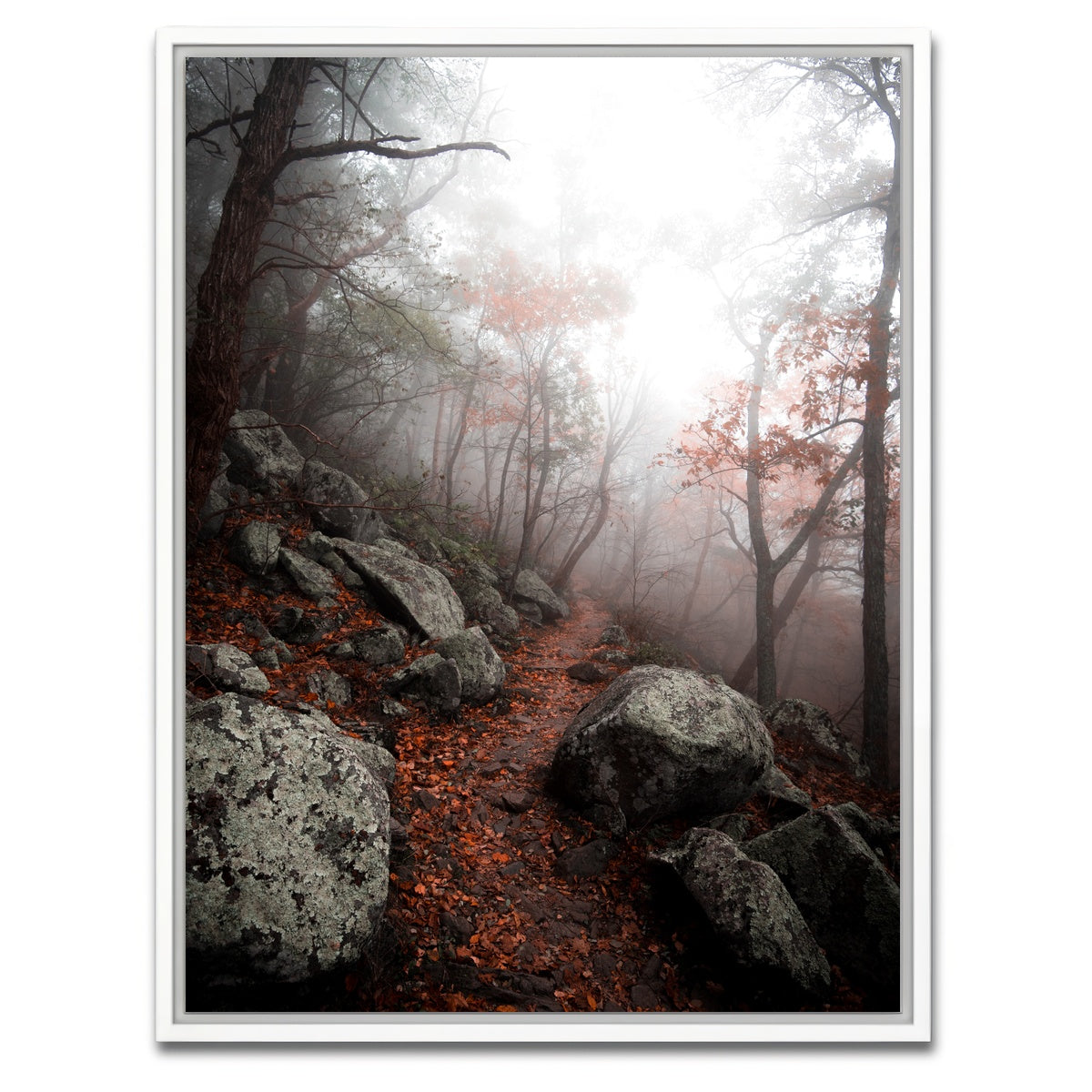 AUTO-MOCKUP WHITE | Moody Forest | 1 Piece | White Framed Canvas | group=3x4