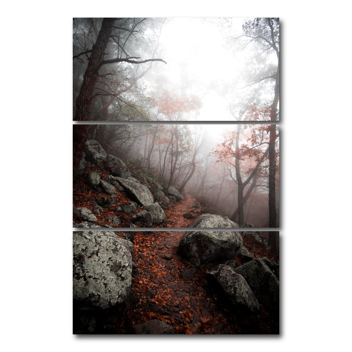 AUTO-MOCKUP WHITE | Moody Forest | 3 Piece | Gallery Wrap Canvas | group=12x24_stacked