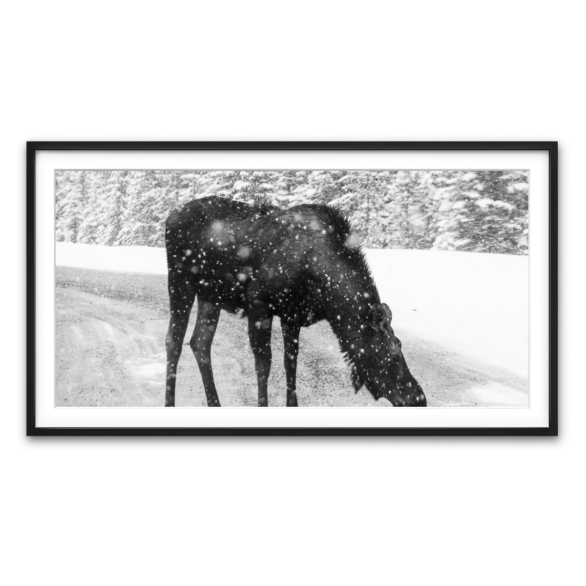 Moose Wall Art